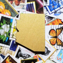 AZ Snail Mail Society Profile Picture